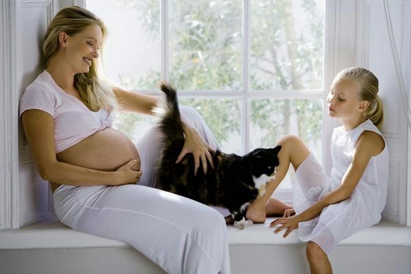  Bir yandan hamileliğin gerektirdiği kıstasları yerine getirirken, diğer yandan hayvan sağlığını da korumalıdır.